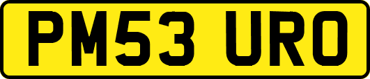 PM53URO