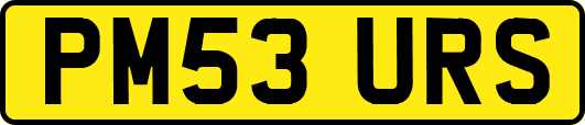 PM53URS