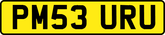 PM53URU