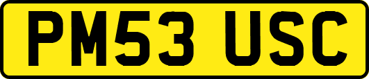 PM53USC