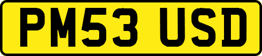 PM53USD