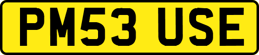 PM53USE