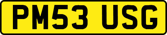 PM53USG