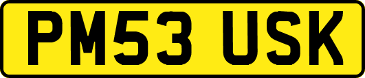 PM53USK