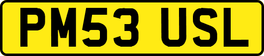 PM53USL