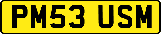 PM53USM