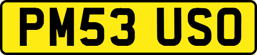 PM53USO