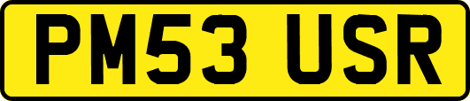 PM53USR