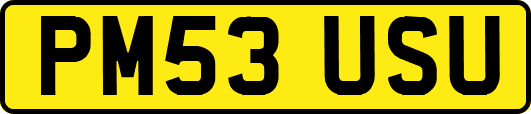 PM53USU