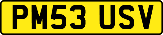 PM53USV
