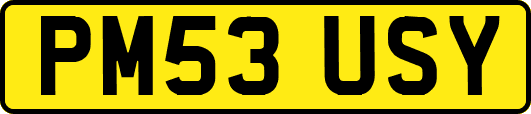 PM53USY
