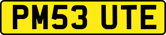 PM53UTE
