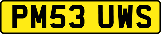 PM53UWS
