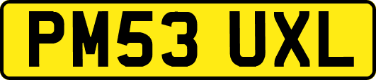 PM53UXL
