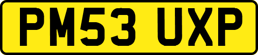 PM53UXP
