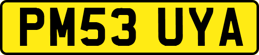 PM53UYA