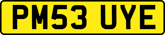 PM53UYE