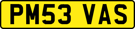 PM53VAS