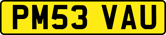 PM53VAU
