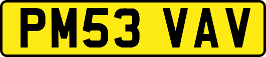 PM53VAV