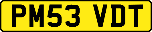 PM53VDT