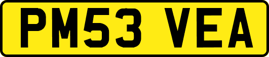 PM53VEA