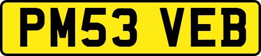PM53VEB