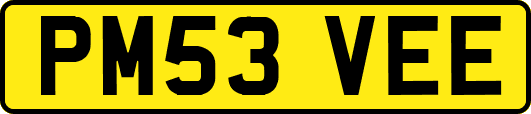 PM53VEE