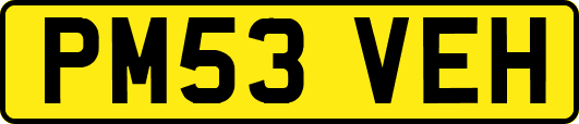 PM53VEH