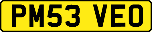 PM53VEO