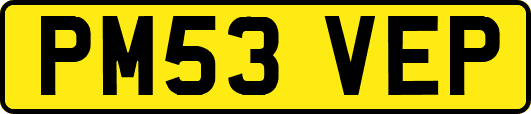PM53VEP
