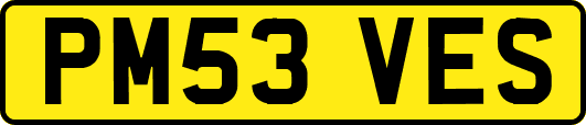 PM53VES