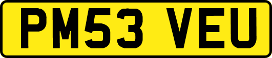PM53VEU