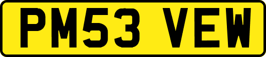 PM53VEW