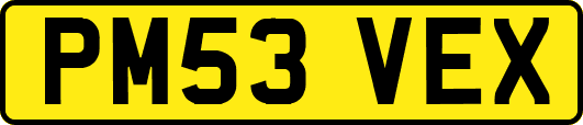 PM53VEX