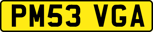 PM53VGA