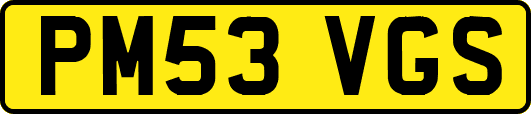 PM53VGS