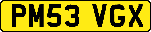 PM53VGX