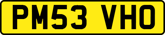 PM53VHO