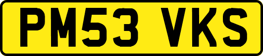 PM53VKS