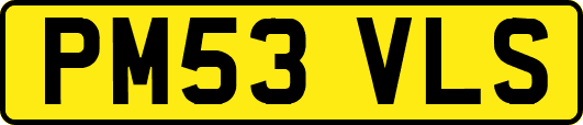 PM53VLS