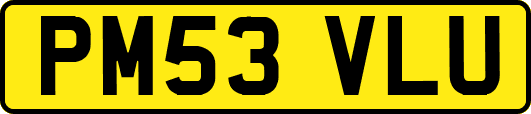 PM53VLU