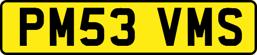 PM53VMS