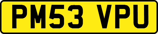 PM53VPU