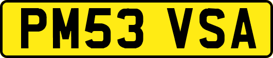 PM53VSA