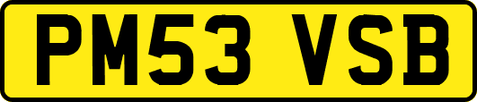 PM53VSB