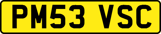 PM53VSC