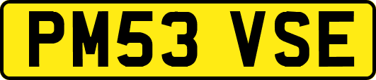 PM53VSE
