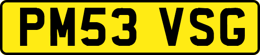 PM53VSG