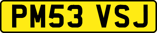 PM53VSJ